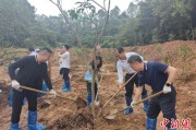 开封广州已打造首批32处“绿美宗教活动场所”