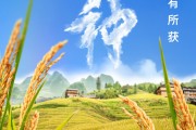 开封芒种节气小知识来了 夏种作物都有什么？