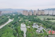 开封西宁市举办六五环境日主题宣传活动
